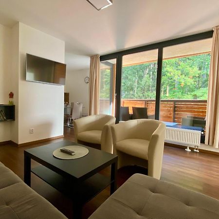 Útulný apartmán v blízkosti Mumlavských vodopádů Harrachov Exterior foto