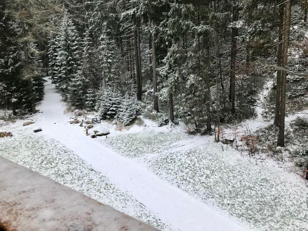 Útulný apartmán v blízkosti Mumlavských vodopádů Harrachov Exterior foto